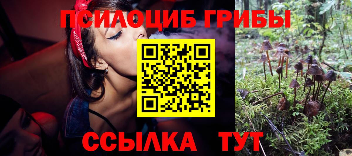 Псилоцибиновые грибы Psilocybine cubensis Сафоново