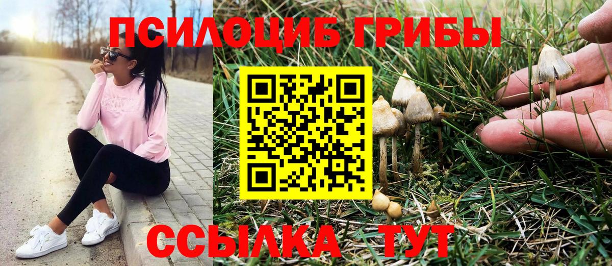 Сафоново  Псилоцибиновые грибы Cubensis  Галлюциногенные грибы мицелий  Вход с VPN 