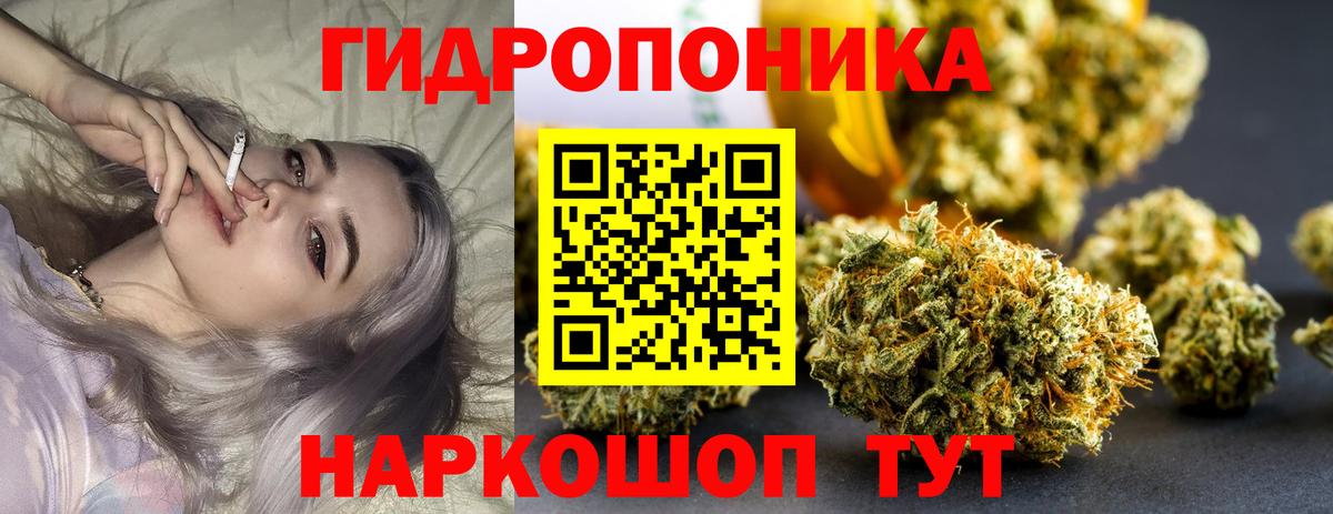 Конопля Ganja Сафоново